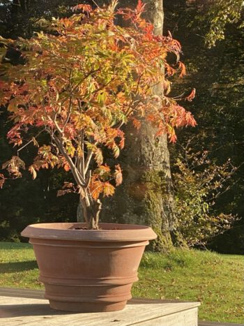 stor håndlavet terracottakrukke